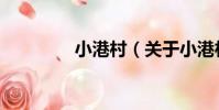 小港村(關于小港村簡介)