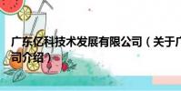 廣東億科技術發展有限公司(關于廣東億科技術發展有限公司介紹)