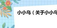 小小鳥(關于小小鳥的簡介)
