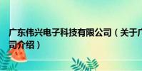 廣東偉興電子科技有限公司(關于廣東偉興電子科技有限公司介紹)