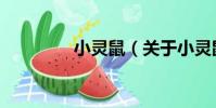 小靈鼠(關于小靈鼠簡介)