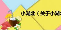 小湖北(關于小湖北簡介)