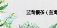 藍菊根茶(藍菊根)