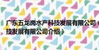 廣東五龍崗水產科技發展有限公司(關于廣東五龍崗水產科技發展有限公司介紹)