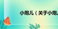 小炮兒(關于小炮兒簡介)