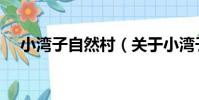 小灣子自然村(關于小灣子自然村簡介)