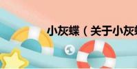 小灰蝶(關于小灰蝶簡介)