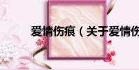 愛情傷痕(關于愛情傷痕的簡介)