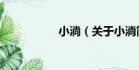 小淌(關于小淌簡介)