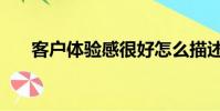 客戶體驗感很好怎么描述(客戶體驗)