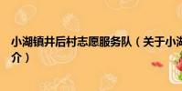 小湖鎮井后村志愿服務隊(關于小湖鎮井后村志愿服務隊簡介)
