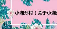 小湖孫村(關于小湖孫村簡介)