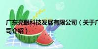 廣東亮眼科技發展有限公司(關于廣東亮眼科技發展有限公司介紹)