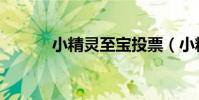 小精靈至寶投票(小精靈至寶)