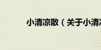 小清涼散(關于小清涼散簡介)
