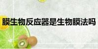膜生物反應器是生物膜法嗎(膜生物反應器)