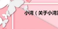 小灣(關于小灣簡介)