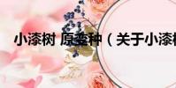 小漆樹 原變種(關于小漆樹 原變種簡介)