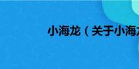 小海龍(關于小海龍簡介)