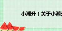小潮升(關于小潮升簡介)