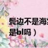 鬢邊不是海棠紅是不是he（鬢邊不是海棠紅是bl嗎）