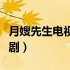 月嫂先生電視劇分集劇情簡介（月嫂先生電視劇）