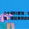 小牛頓科普館：捕捉美景的好手：照相機（關于小牛頓科普館：捕捉美景的好手：照相機簡介）