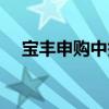 寶豐申購中簽了能賺多少錢（寶豐申購）