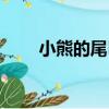 小熊的尾巴（關于小熊的尾巴簡介）