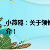 小燕鷗：關于領悟的故事（關于小燕鷗：關于領悟的故事簡介）