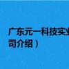 廣東元一科技實業有限公司（關于廣東元一科技實業有限公司介紹）