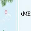 小狂煞（關于小狂煞簡介）