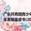 廣東共青團青少年發展藍皮書(2013)（關于廣東共青團青少年發展藍皮書(2013)介紹）
