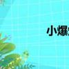 小爆爆（關于小爆爆簡介）