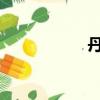 丹琳改變了他的節奏