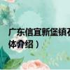 廣東信宜新堡鎮石洞村群體（關于廣東信宜新堡鎮石洞村群體介紹）