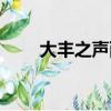 大豐之聲西團中心小學（大豐之聲）