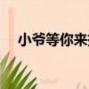 小爺等你來撩（關于小爺等你來撩簡介）