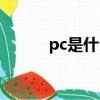 pc是什么賺錢路子（pc是什么）