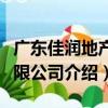 廣東佳潤地產有限公司（關于廣東佳潤地產有限公司介紹）