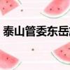 泰山管委東岳旅游集團（東岳泰山旅游集團）