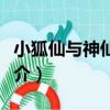 小狐仙與神仙哥哥（關于小狐仙與神仙哥哥簡介）