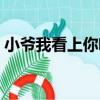 小爺我看上你啦（關于小爺我看上你啦簡介）