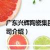 廣東興輝陶瓷集團有限公司（關于廣東興輝陶瓷集團有限公司介紹）