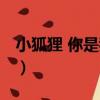 小狐貍 你是我的（關于小狐貍 你是我的簡介）