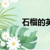 石榴的英文怎么寫（石榴的英文）