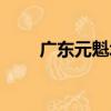 廣東元魁塔（關于廣東元魁塔介紹）