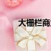 大柵欄商業街介紹（大柵欄商業街）