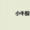 小牛股票（關于小牛股票簡介）