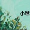 小爸爸（關于小爸爸簡介）